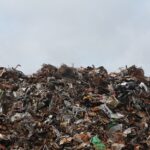 Comment réduire ses déchets alimentaires : des astuces simples pour éviter le gaspillage