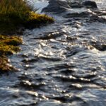 Comment choisir le meilleur logiciel de montage vidéo