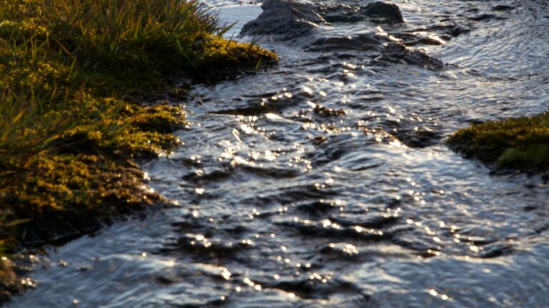 Comment choisir le meilleur logiciel de montage vidéo