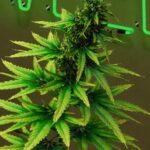 Comment sauvegarder vos données de manière sécurisée