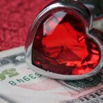 panneau solaire plug and play