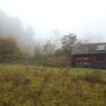 panneau solaire autoconsommation